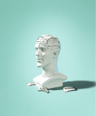 cultural inteligence